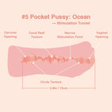 Tantaly_Male_Masturbator_Pocket_Pussy_Features_5