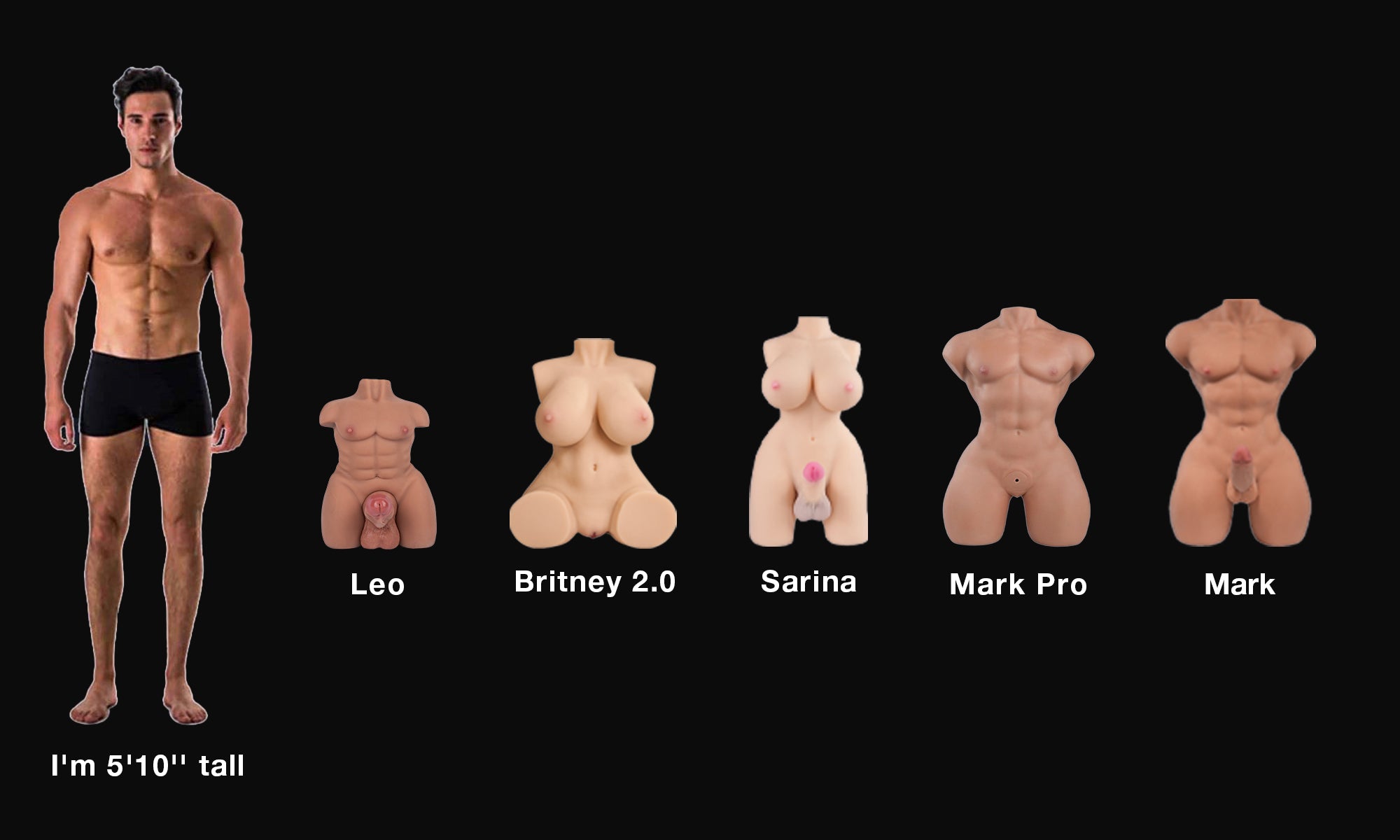 mark_pro_sex_doll_torsos_with_penis_size_comparison