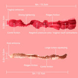 us_dita_mini_sex_doll_vaginal_and_anal_tunnels map